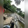asmajawed